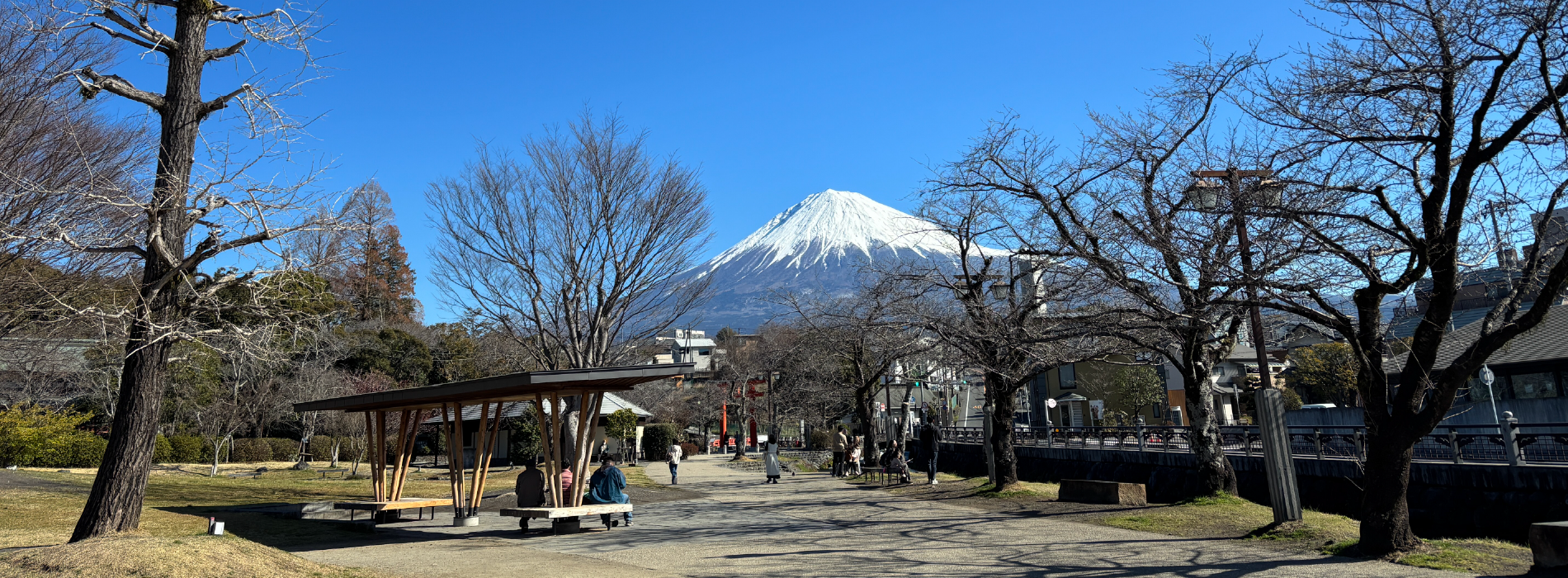 高校生等が連携し、主体的に、高校生等の視点で地域振興(地方創生)や地域ビジネスの手法を実践、ボランティア活動を通じて学び、